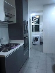 The Riverine By The Park (D12), Apartment #487484151